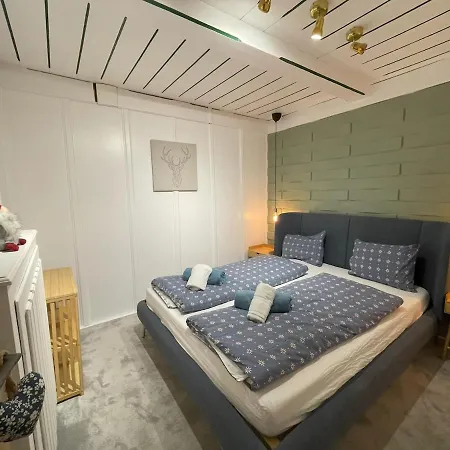 Buena Vista Mountain Prázdninový dům Mittersill