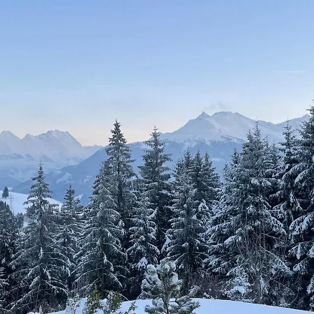 Buena Vista Mountain *